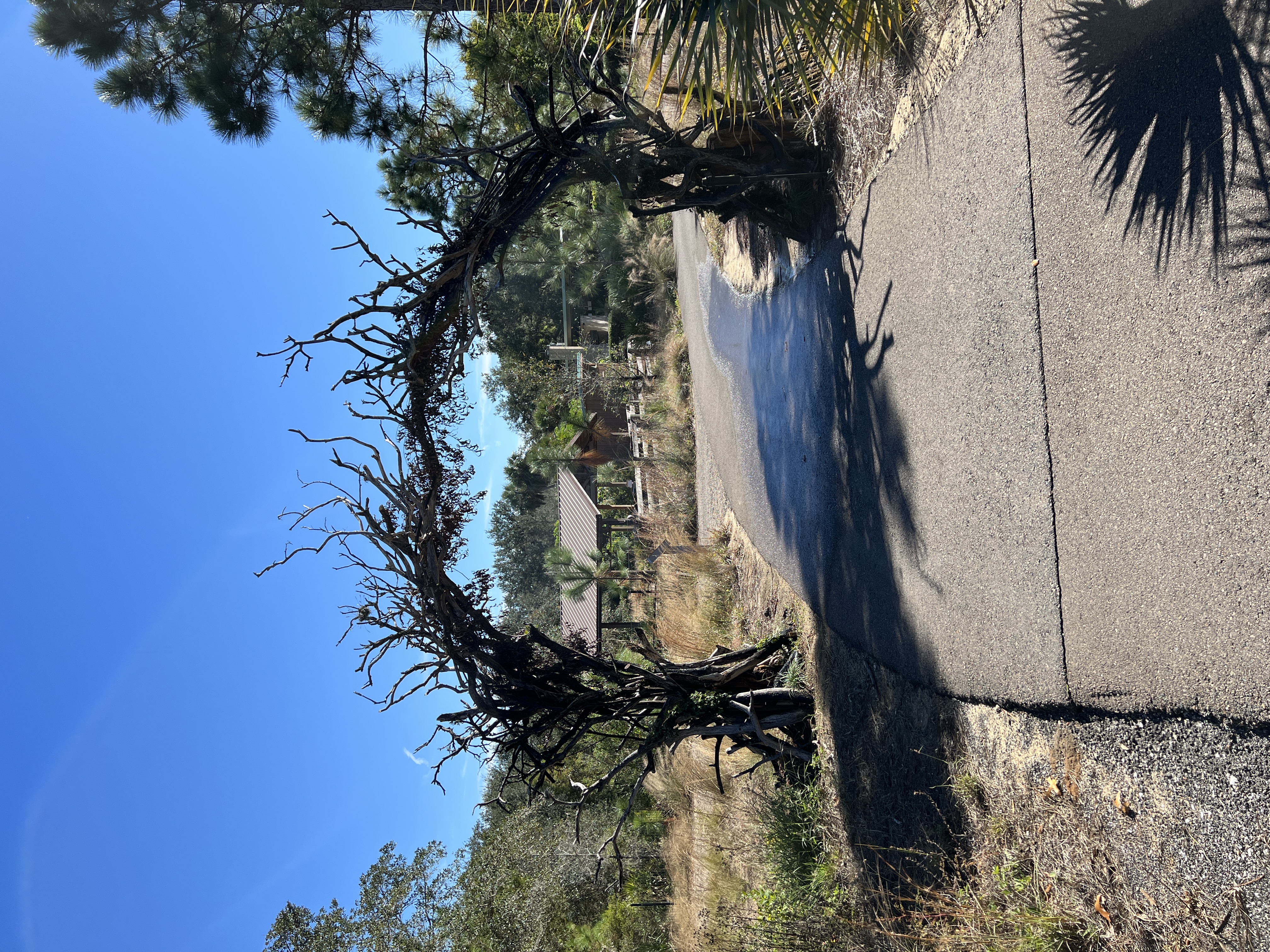 ./2025/13 - Thanksgiving/IMG_7791.JPG